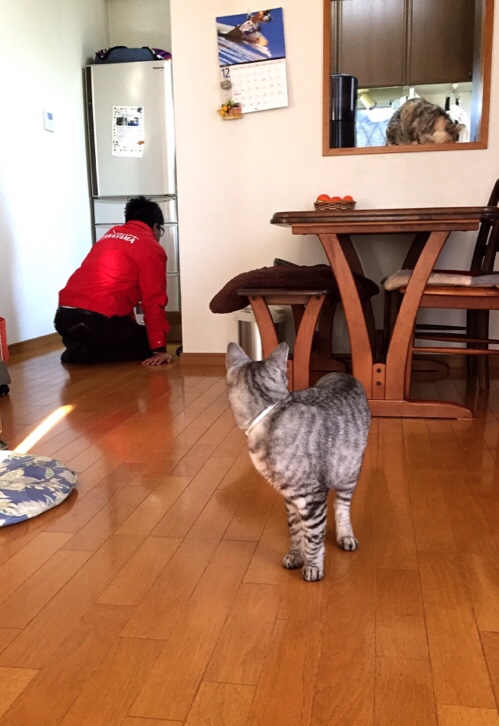 現場監督は忙しい_d0355333_17022811.jpg