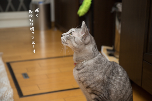 みんなでいただきまあす_d0355333_17024054.jpg