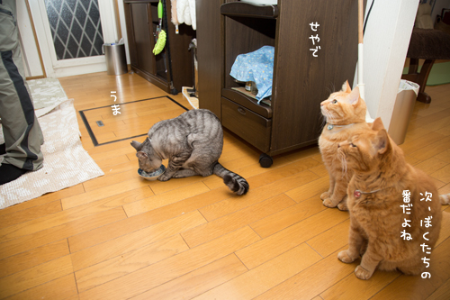 みんなでいただきまあす_d0355333_17024087.jpg