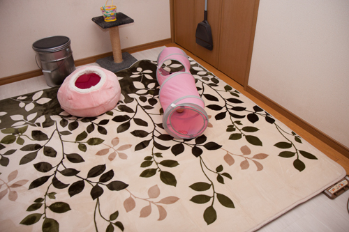 ホカペカバーを買ったよ_d0355333_17024477.jpg