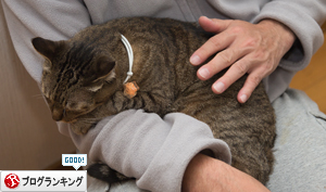 ブサカワ_d0355333_17250487.jpg