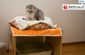 ちょっと早めのプレゼント_d0355333_17250913.jpg