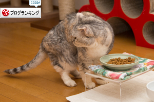 まんま台_d0355333_17251043.jpg