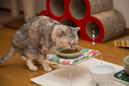 まんま台_d0355333_17251055.jpg