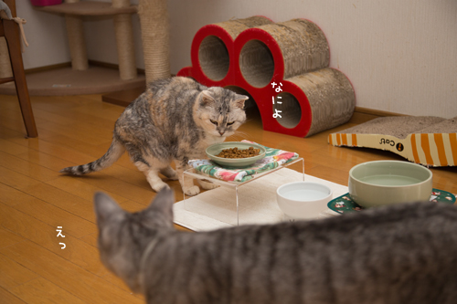 まんま台_d0355333_17251082.jpg