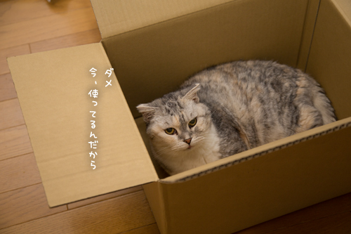 箱が気になるのはアナタだけ_d0355333_17251140.jpg