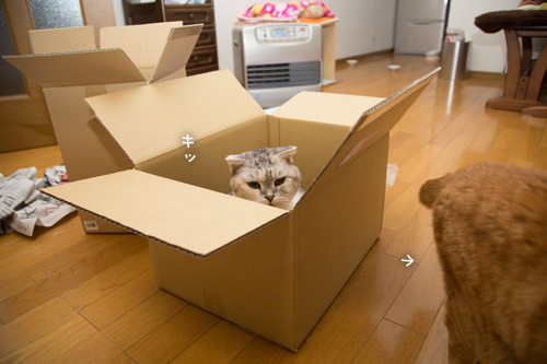 箱が気になるのはアナタだけ_d0355333_17251162.jpg