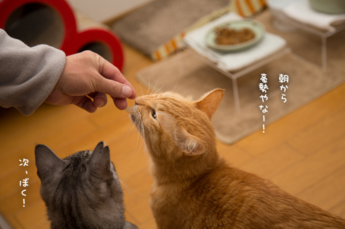 おいしいお顔オンパレード_d0355333_17251572.jpg