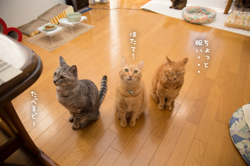 我が家のお正月_d0355333_17251579.jpg