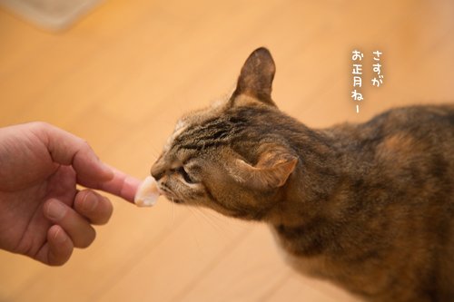 おいしいお顔オンパレード_d0355333_17251686.jpg