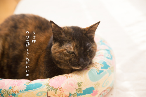 おいしいお顔オンパレード_d0355333_17251812.jpg