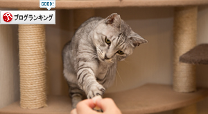 おいしいお顔オンパレード_d0355333_17252032.jpg