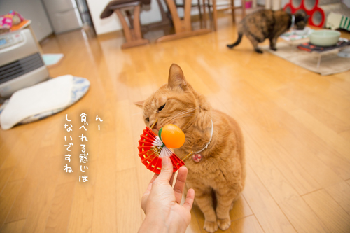 ちょっと遅めの鏡開き_d0355333_17253292.jpg
