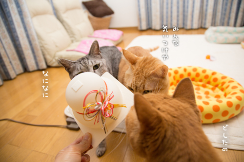 ちょっと遅めの鏡開き_d0355333_17253331.jpg
