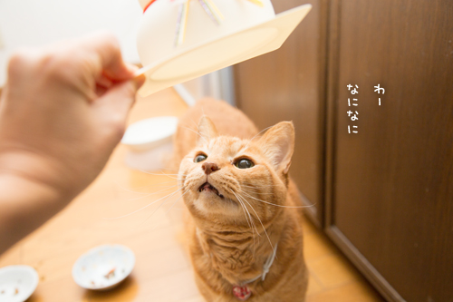 ちょっと遅めの鏡開き_d0355333_17253350.jpg