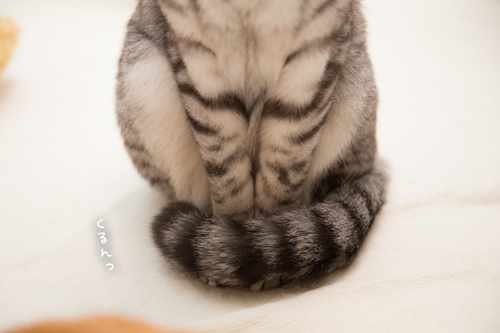 なっちゃんの可愛いとこ_d0355333_17253444.jpg