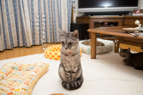 なっちゃんの可愛いとこ_d0355333_17253568.jpg