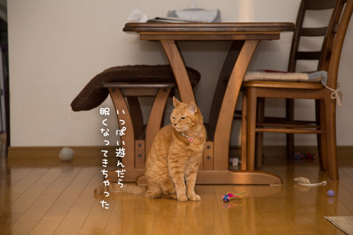 散らかし屋さんは_d0355333_17254784.jpg