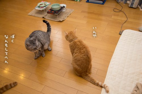 気まぐれジャイアン_d0355333_17255147.jpg