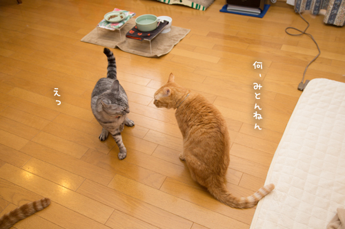 気まぐれジャイアン_d0355333_17255192.jpg