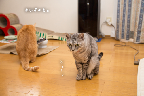 気まぐれジャイアン_d0355333_17255259.jpg