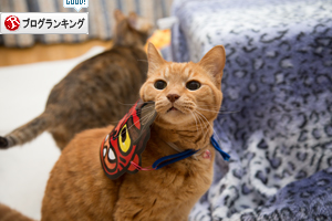 ムフフってなる時_d0355333_17255471.jpg