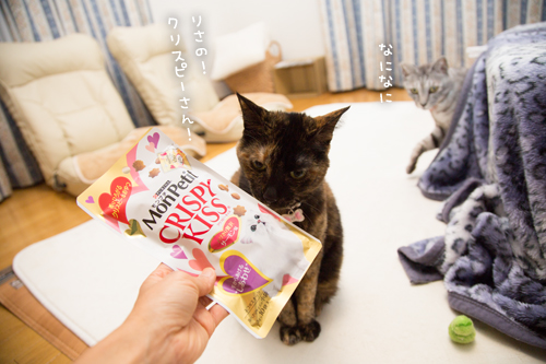 みつるからの手紙_d0355333_17255766.jpg