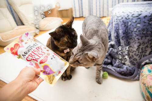 みつるからの手紙_d0355333_17255830.jpg