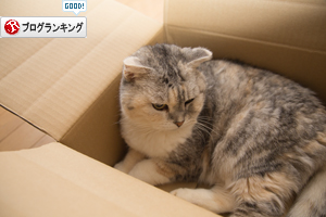 Gだって箱に入りたい_d0355333_17262151.jpg