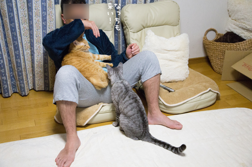 もじもじくんの攻防_d0355333_17262444.jpg