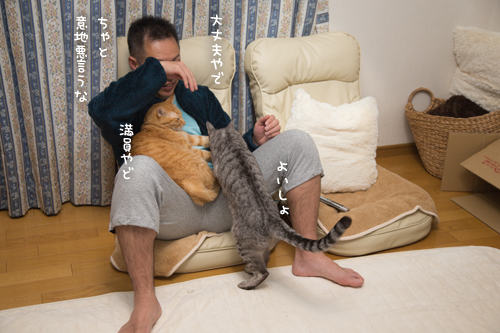 もじもじくんの攻防_d0355333_17262463.jpg
