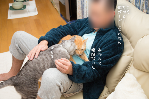 もじもじくんの攻防_d0355333_17262489.jpg