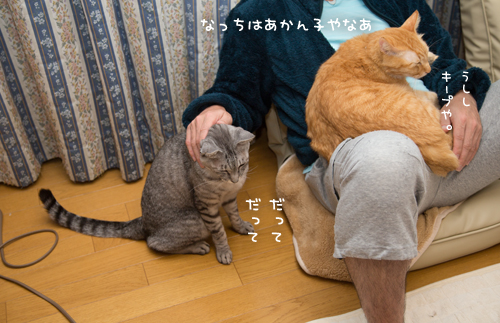 もうちょいなのに_d0355333_17262570.jpg