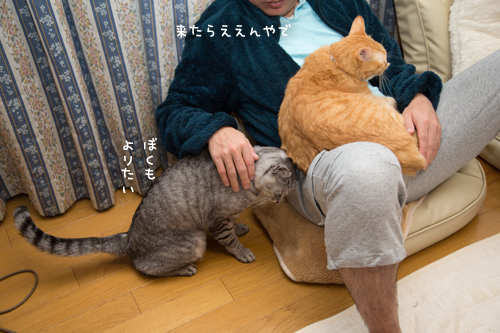 もうちょいなのに_d0355333_17262598.jpg
