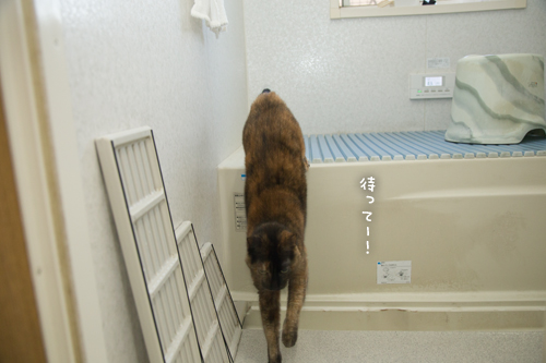 ストーカーりさ_d0355333_17262838.jpg