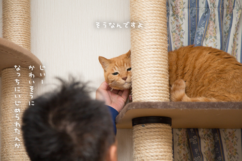 折り合いつけてこうなった_d0355333_17263152.jpg