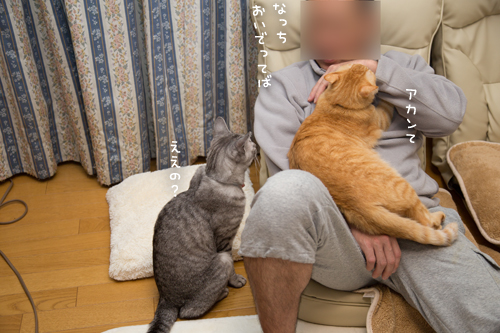 もじもじくんがんばる_d0355333_17263392.jpg