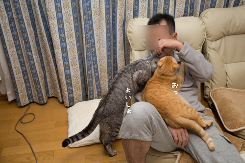 もじもじくんがんばる_d0355333_17263410.jpg