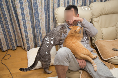 もじもじくんがんばる_d0355333_17263419.jpg