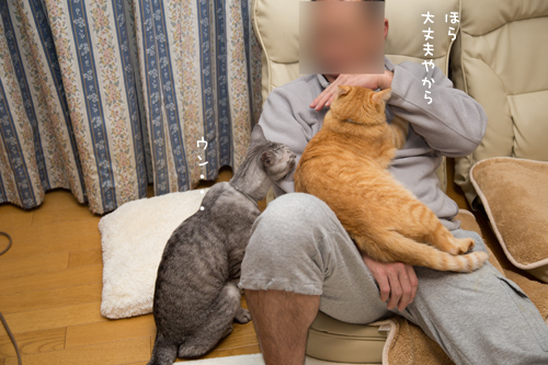 もじもじくんがんばる_d0355333_17263425.jpg