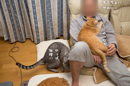 もじもじくんがんばる_d0355333_17263557.jpg