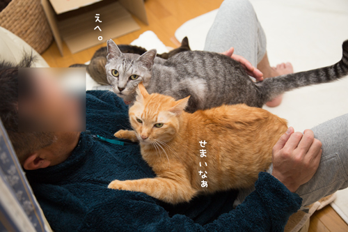 もじもじくん、いよいよ_d0355333_17263638.jpg