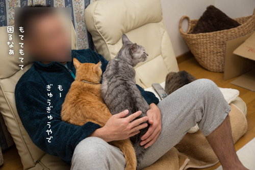 独占だ!_d0355333_17263769.jpg