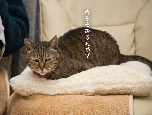 独占だ!_d0355333_17263774.jpg