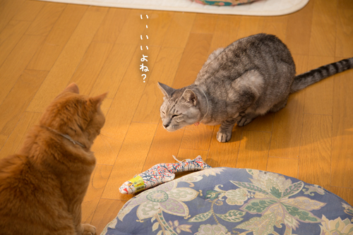 一触即発?_d0355333_17264070.jpg