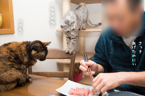 まぐろのある日~!_d0355333_17264148.jpg