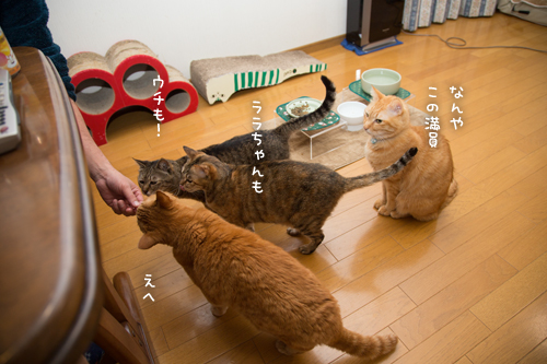 まぐろのある日~!_d0355333_17264200.jpg