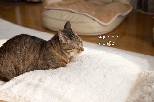 優しい時間_d0355333_17264999.jpg