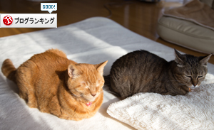 優しい時間_d0355333_17265092.jpg