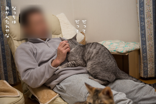 たまねぎなっちゃん_d0355333_17265136.jpg